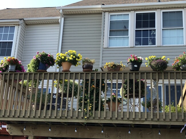 Upper back deck - 7941 River Rock Way