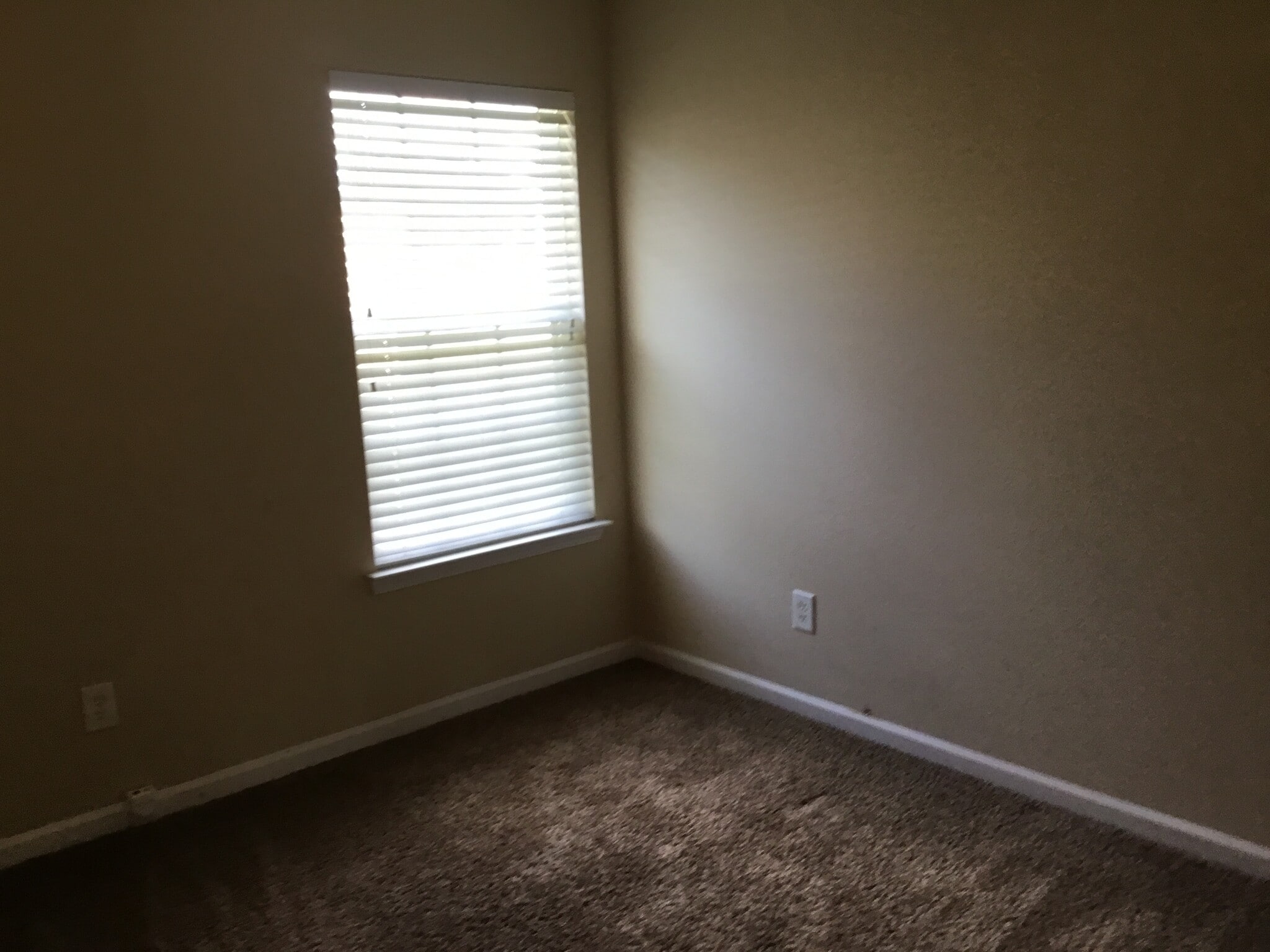 Building Photo - 802 Celtic Crossing Dr