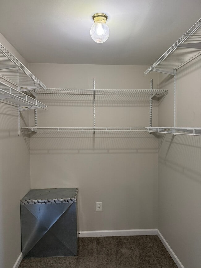 Building Photo - 101 Daughety Ct