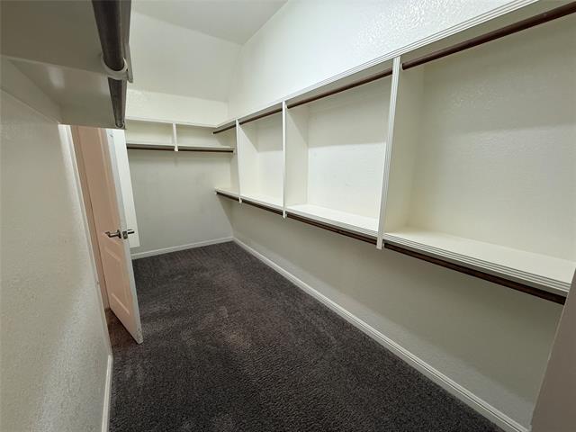 Building Photo - 8501 Layna Ct