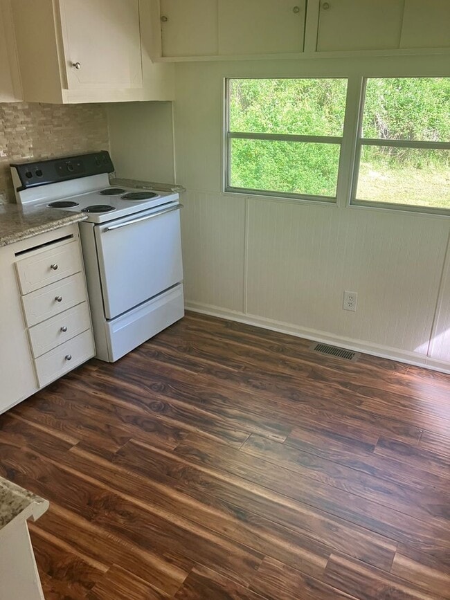 Building Photo - Remodeled 2 Bedroom in Candler