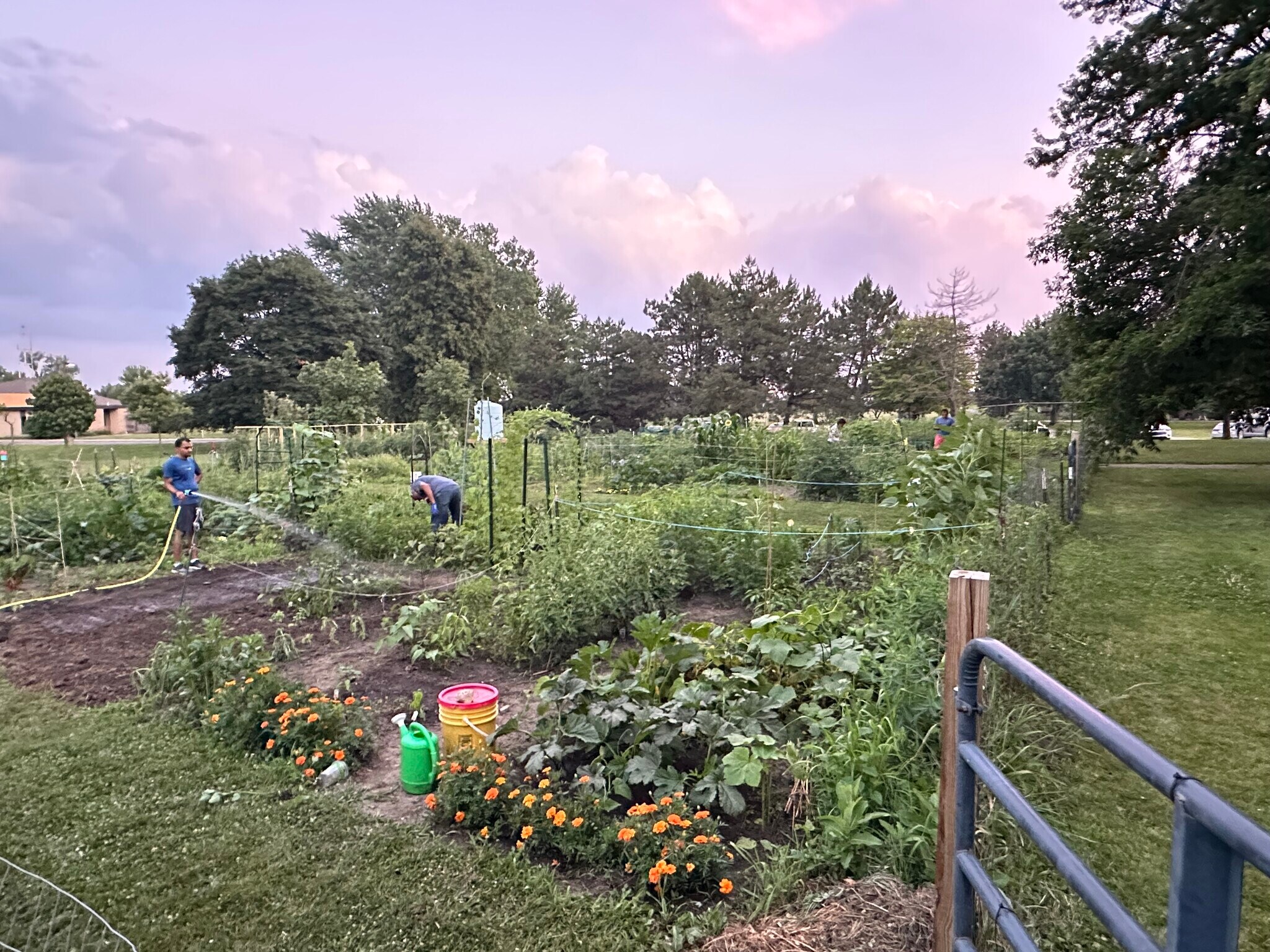 Community garden plots - 174 Hemingway Ct