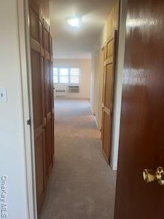 Building Photo - 265-07 Hillside Ave.