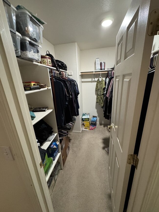 Building Photo - 17605 Alexandria Ct