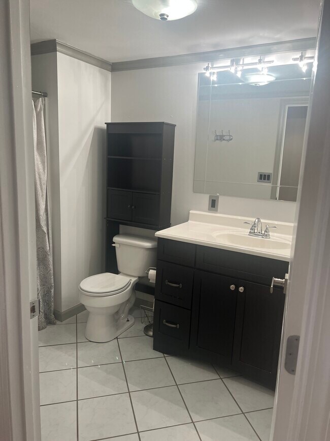 Main Bathroom - 107 Morgan Run Rd