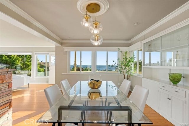 Building Photo - 557 Blumont St