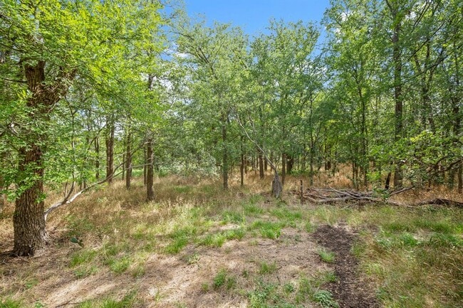 Building Photo - 7300 Branrust Dr