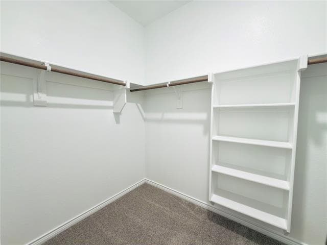 Building Photo - 2117 Eugene St