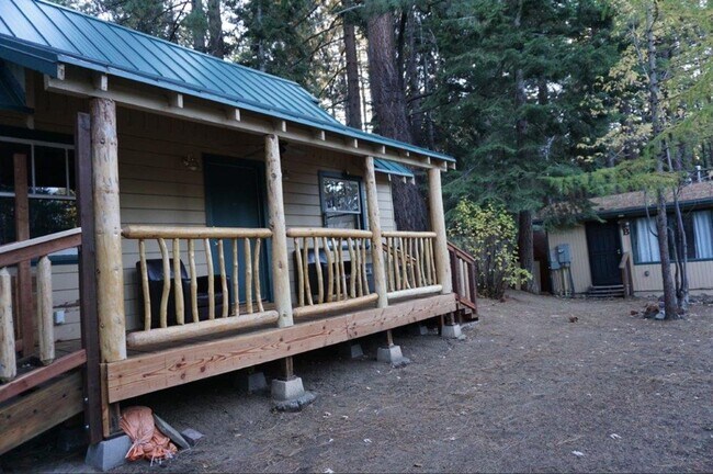 Building Photo - Cozy cabin in the woods