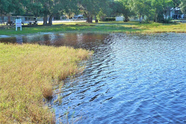 Building Photo - Modest 3 Br/1.5 Bath in Established Neighborhood