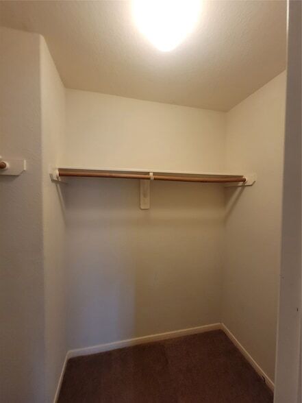 Building Photo - 2719 Indigo Stone Ln