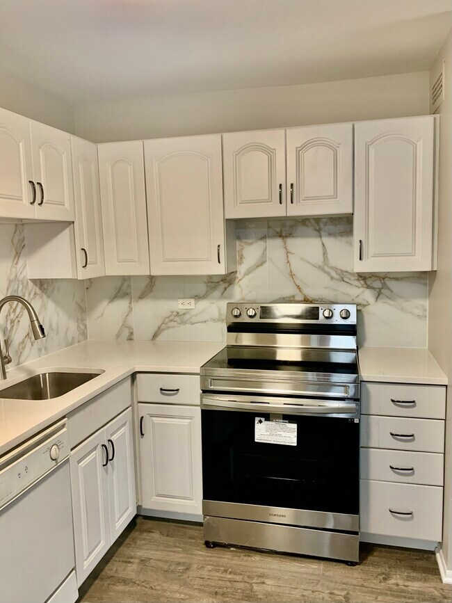 New Kitchen - 1255 N Sandburg Ter