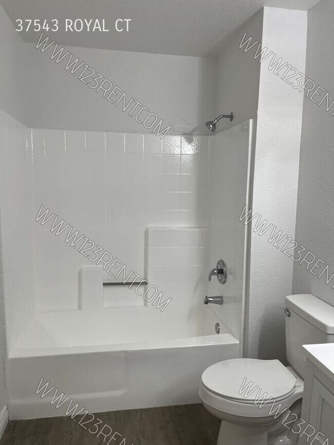 Building Photo - 37543 Royal Ct