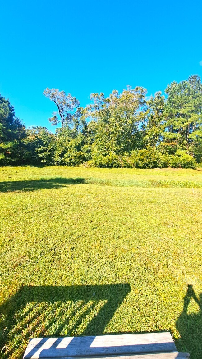 Building Photo - 312 S Tree Ct