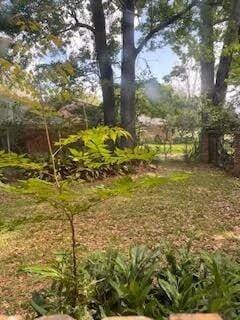 Building Photo - 1000 Rural St