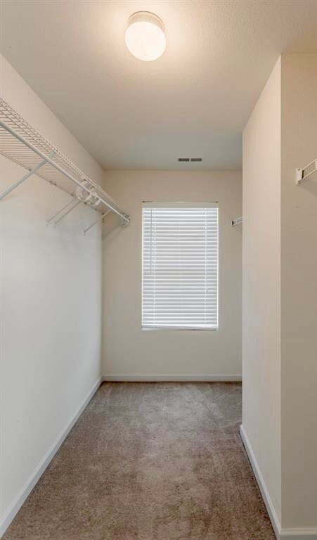 Building Photo - 105 Bayside Ln