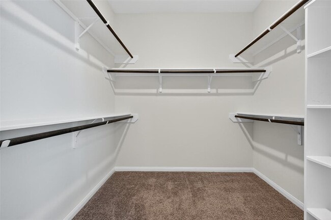 Building Photo - 206 White Wing Ln