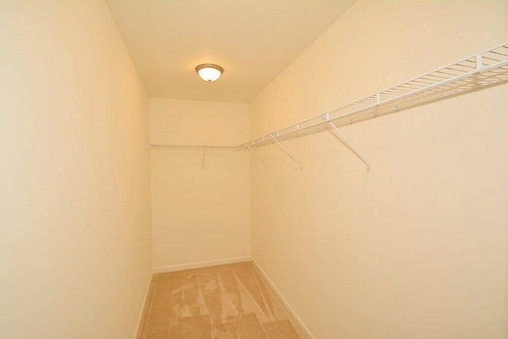 Building Photo - 3433 Black Forest Ln