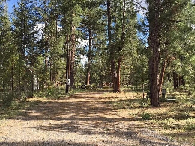 Building Photo - Adorable Cabin on the River