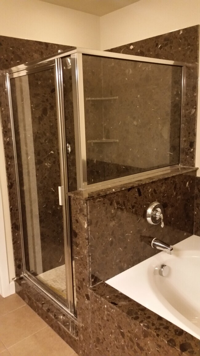 Primary Shower & Tub - 10608 S Topview Rd