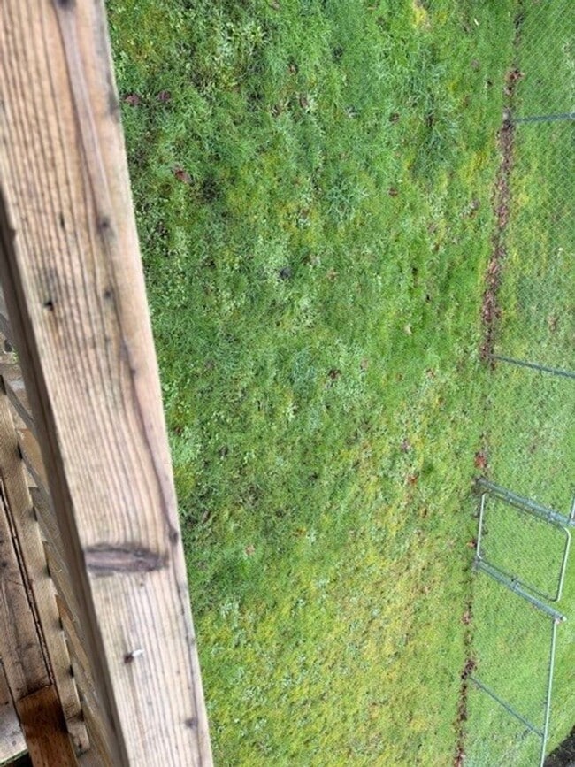 Building Photo - COZY 1 BED 1 BATH HOUSE