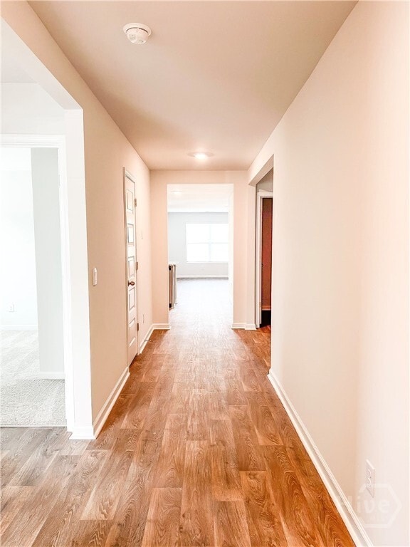 Building Photo - 388 Coconut Dr