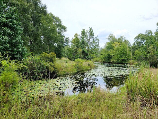 Building Photo - 15590 Magnolia Park