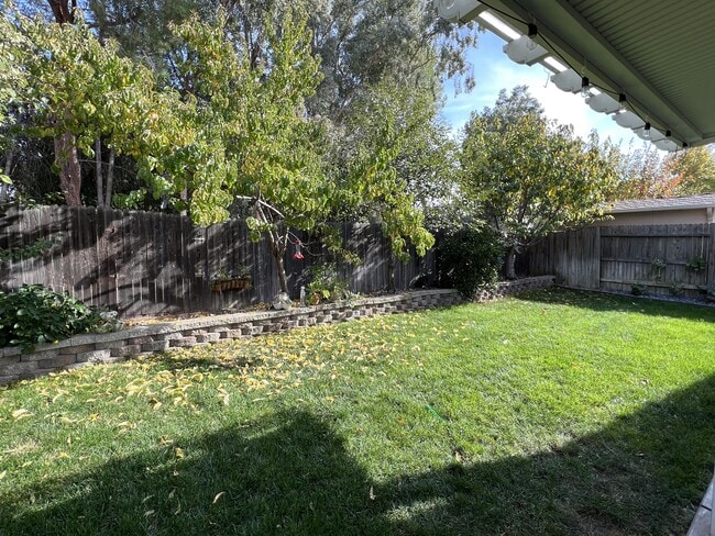 Building Photo - 3501 Maddiewood Cir
