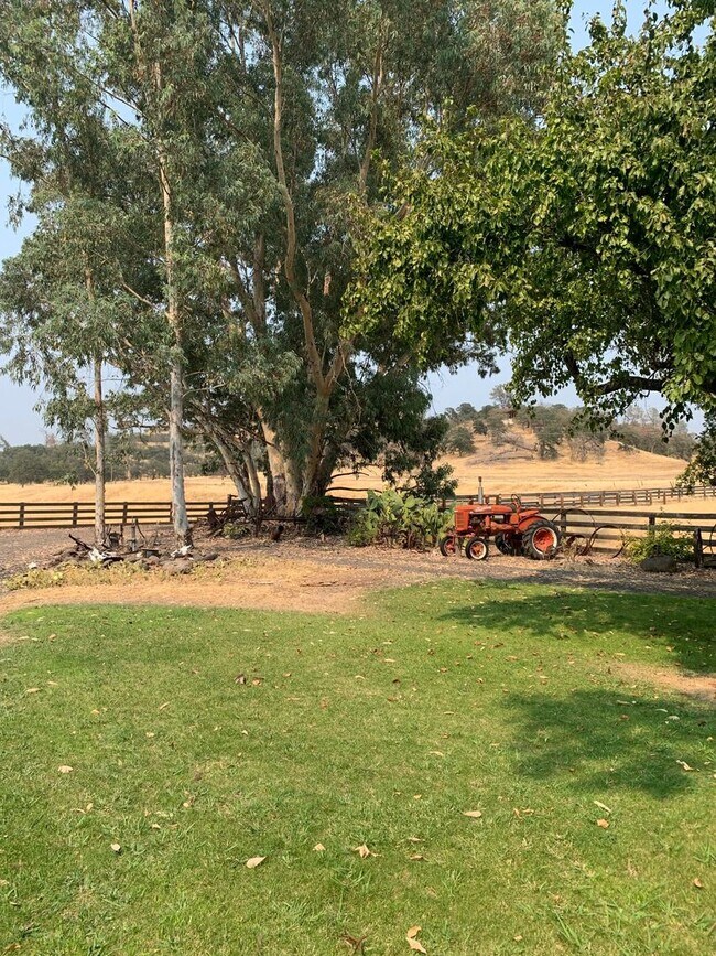 Building Photo - Butte Valley 3 bed 2 bath home, Privacy, n...