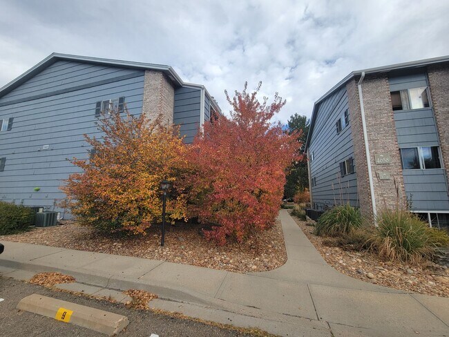 Building Photo - Fresh Boulder 1 Bedroom Condo for Rent wit...