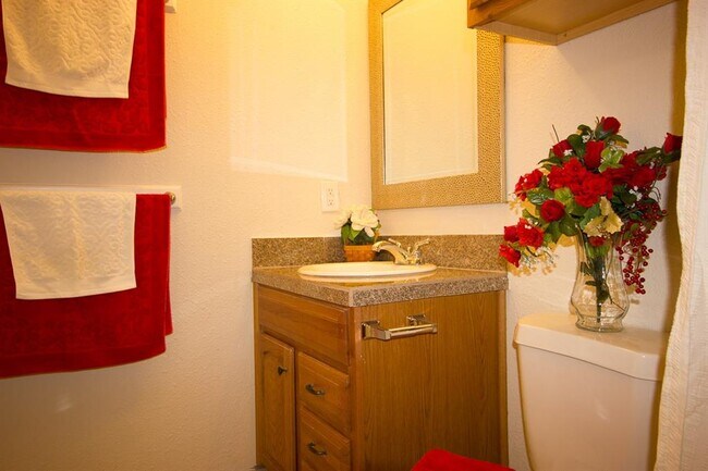 Building Photo - 5013 Cape Verde Cove