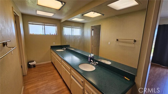 Building Photo - 2867 Shadow Canyon Dr