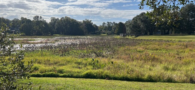 Building Photo - 3 bed/ 2 bath LAKE VIEW IN KILLEARN ESTATES!