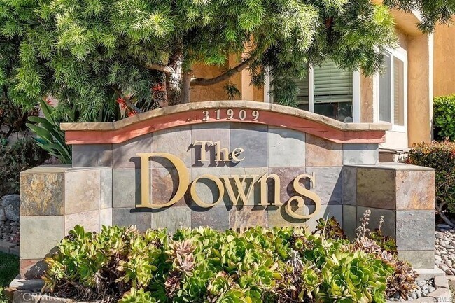 Building Photo - 31909 Cam Del Cielo