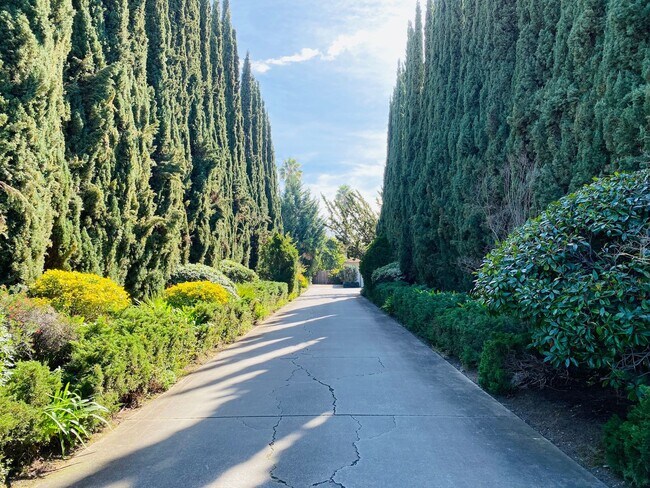 Building Photo - Extraordinary home with expansive yard on a flag lot in Mountain View.  Great Location and Schools.