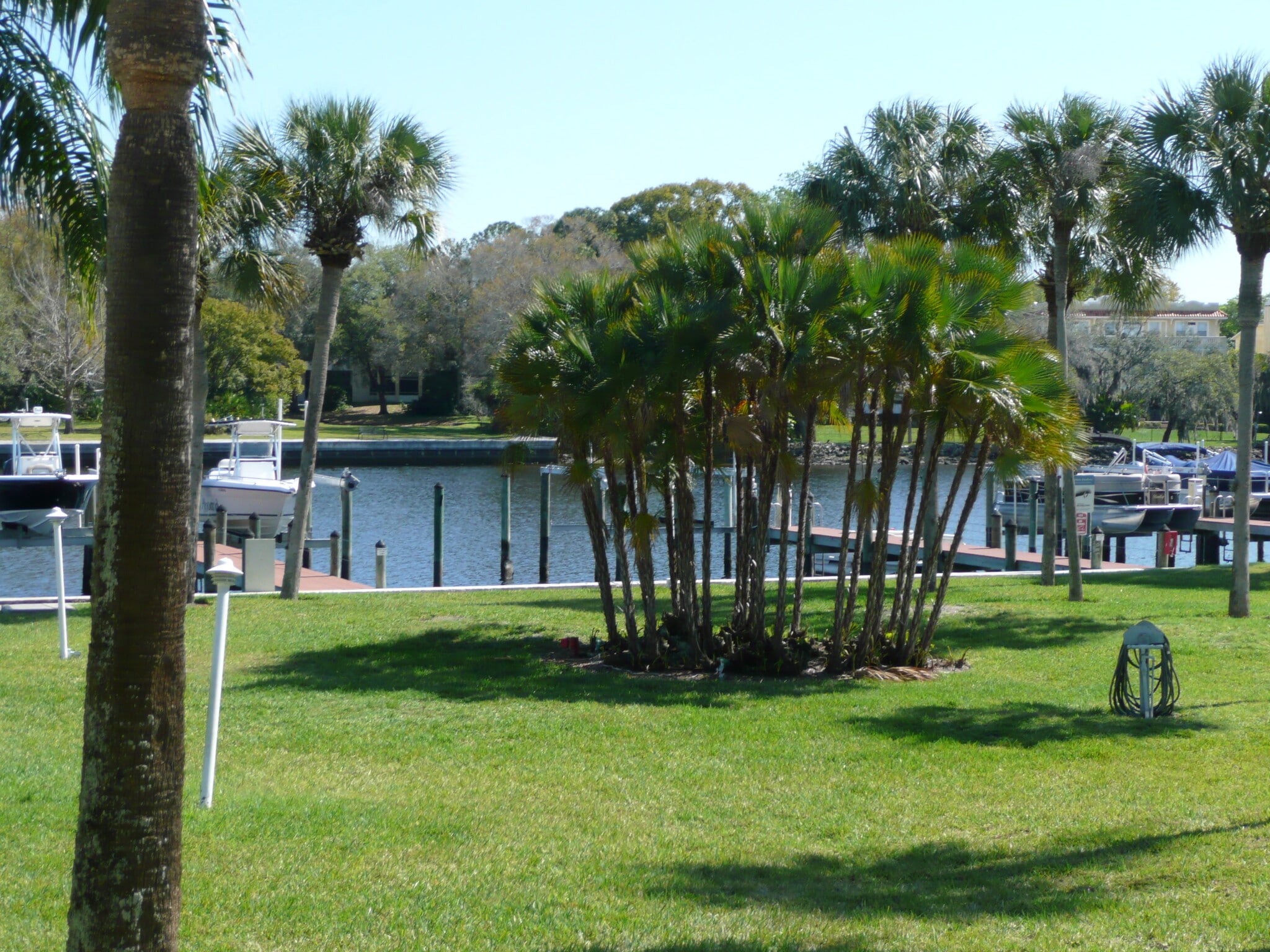 View from Patio - 2424 W Tampa Bay Blvd