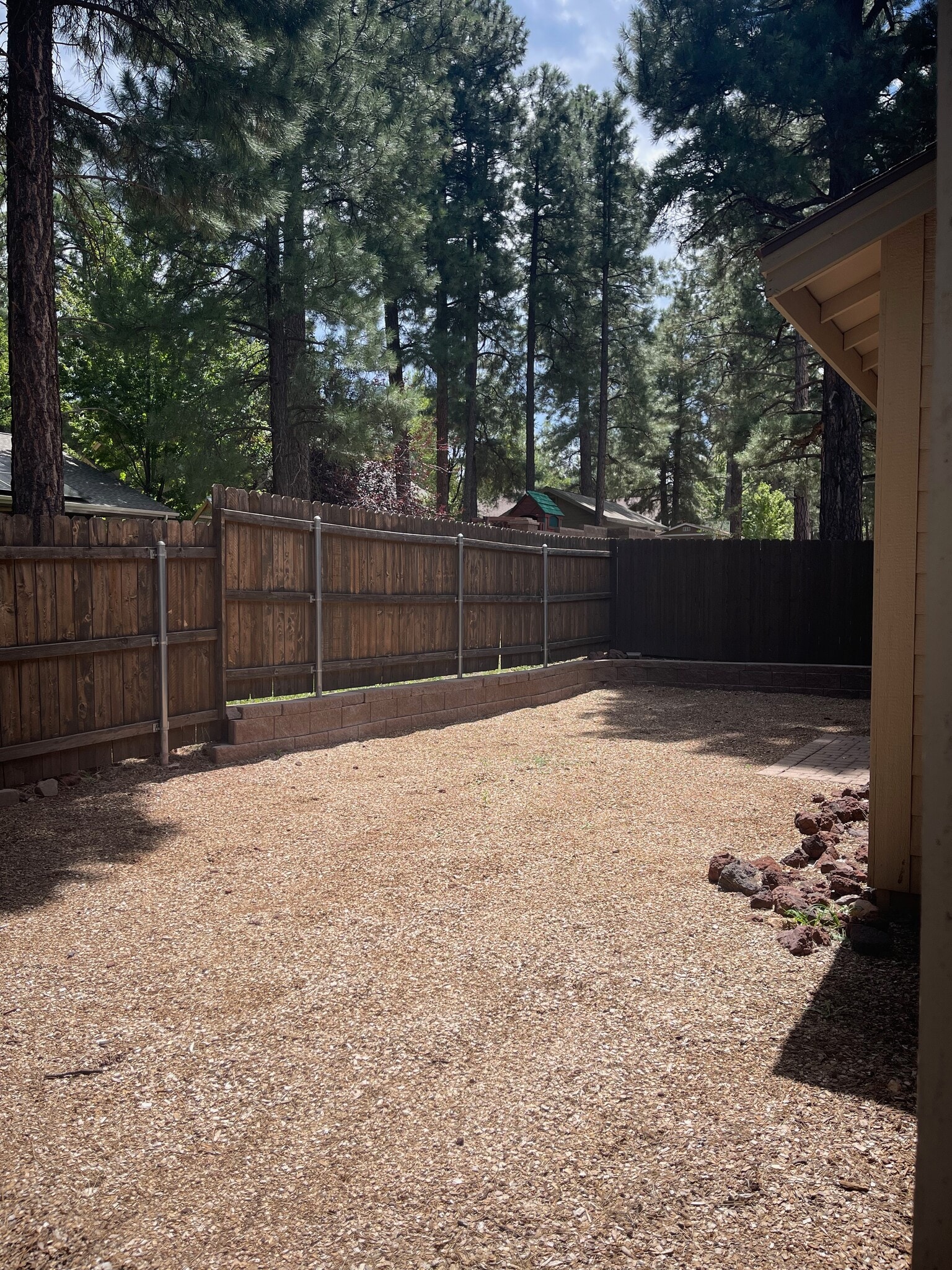 Backyard - 2317 W Mission Timber Cir