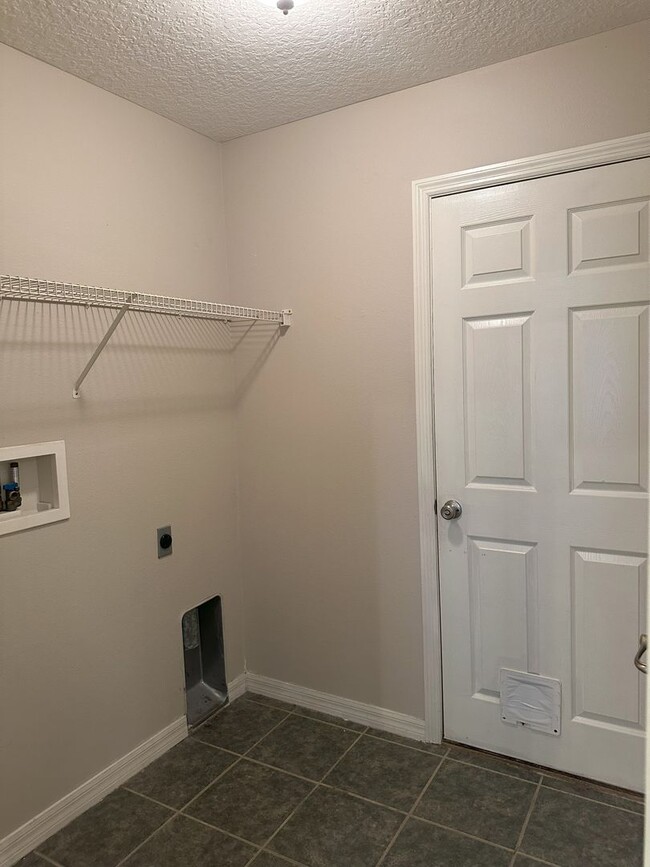 Building Photo - Palm Harbor Pool Home!