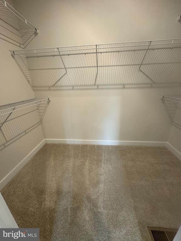 Building Photo - 275 Thoroughbred Ln