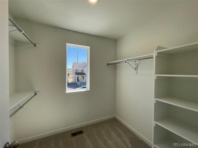 Building Photo - 701 Mosquito St