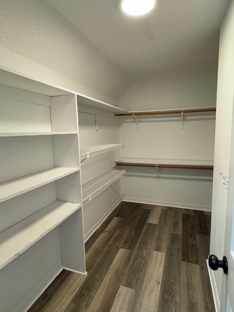 Building Photo - 805 Harbor Ln