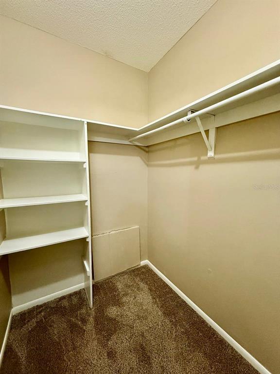 Building Photo - 7612 Camarina Calle