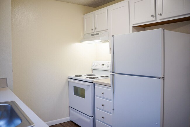Building Photo - Spacious 1-Bed Surrounded by Tall Trees & Just Blocks from Popular Multnomah Village!