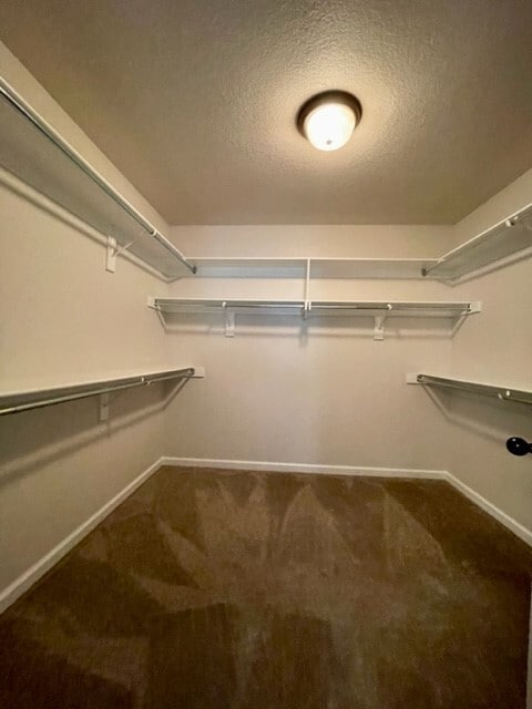 Building Photo - 1053 Tarah Knolls Cir