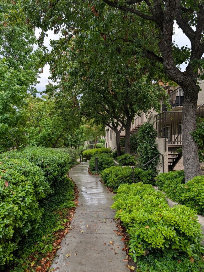 Building Photo - 24145 Del Monte Dr.