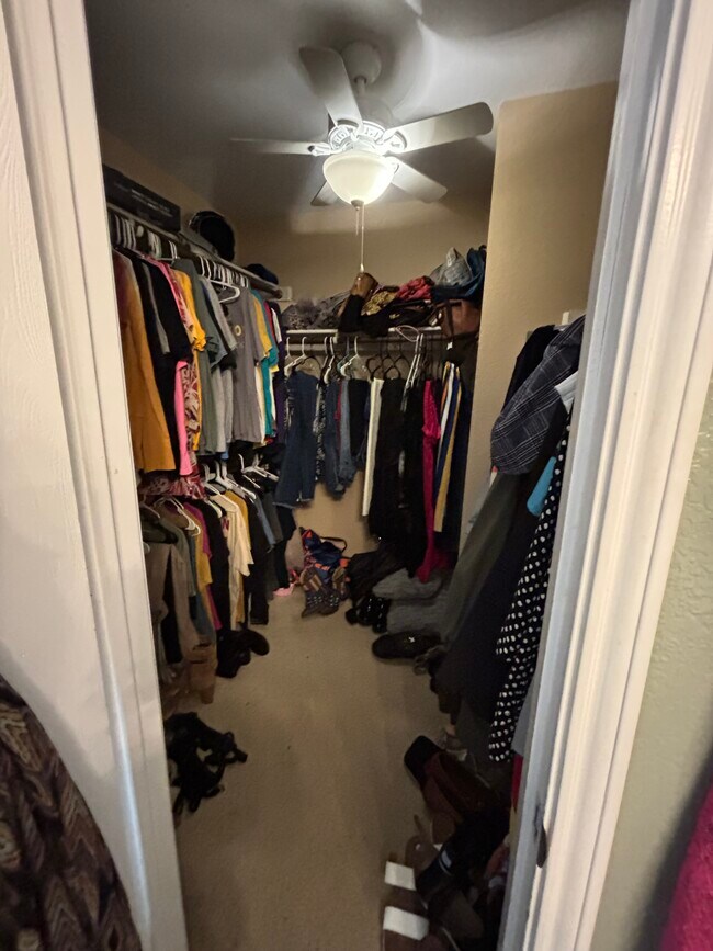 Building Photo - 108 Windsor