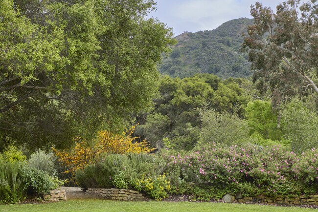 Building Photo - 901 Crater Camp Dr