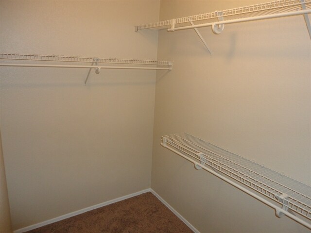 Building Photo - 10830 E Carol Ave