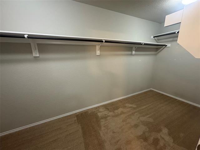 Building Photo - 3012 Whitetail Chase Dr