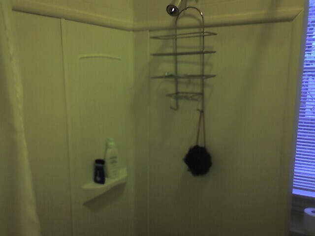 Shower in Bathtub - 745 S 4th St
